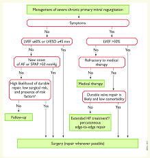 Mitral regurgitation (mr) is the backflow of blood from the left ventricle (lv) to the left atrium (la) during systole. Mitral Valve Repair For Mitral Regurgitation