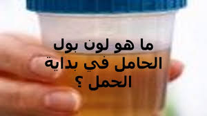 العائد من الإعلانات يمثل مصدر الربح الأساسي للموقع والعاملين به مما يساعدنا على البقاء مستقلين وحياديين حيث أننا غير تابعين لأي جهة حكومية أو حزب. Ù…Ø¹Ù„ÙˆÙ…Ø§Øª Ù…Ù…ØªØ¹Ø© Ù…Ø§ Ù‡Ùˆ Ù„ÙˆÙ† Ø¨ÙˆÙ„ Ø§Ù„Ø­Ø§Ù…Ù„ ÙÙŠ Ø¨Ø¯Ø§ÙŠØ© Ø§Ù„Ø­Ù…Ù„ Ø«Ù‚Ù Ù†ÙØ³Ùƒ Youtube