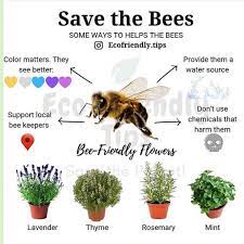 Global Warming Global Warming Facts Global Warming Definition Global Warming Art Global Warming Causes C Bee Friendly Flowers Global Warming Facts Bee Friendly