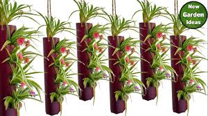 How much space do you have? Hanging Pots Vertical Garden Pots Indoor Wall Garden Indoor Vertical Garden Youtube