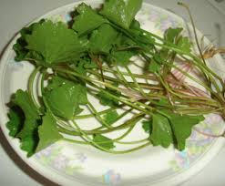 Resepi dan cara membuat jus pegaga ( centella asiatica juices) gotu kola | guna blender, senang. Anak Letih Setiap Kali Balik Sekolah Doktor Cadang Cuba Buat Jus Pegaga Untuk Segarkan Otak
