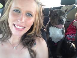 Lost brindle dog with white chest and gray face