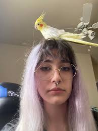 Um... if someone lost their bird things, they're wandering around