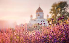 Є три версії чому їх називають зеленими: Trijcya 2020 Koli Ta Yak Vidznachatimemo Zeleni Svyata Pershij Regionalnij