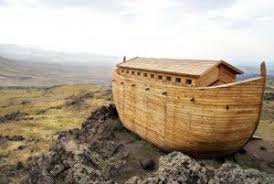 How Did Noah Fit All The Animals In The Ark A Bible Study Noahs Ark Bible Ark