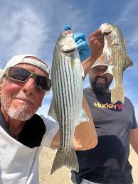 California aqueduct fishing report and bait availability