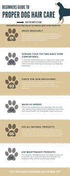 Follow your vet's directions for treating any medical issues your dog may have. Tips For Proper Dog Coat Care Infographic Dog Care Tips Dog Care Dog Brushing