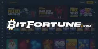 BitFortune Casino: No-KYC Crypto Gambling with Fast Payouts