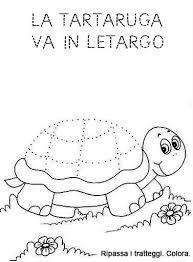 Schede Di Pregrafismo Disegno Di Tartaruga Infanzia Autunno