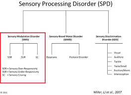 Sensory Processing Disorder