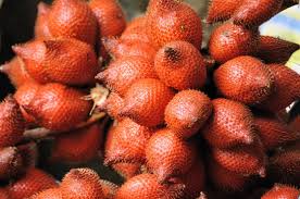 Image result for Cathormion