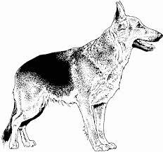 This is the time that we should let kids be children. German Shepherd Coloring Pages Best Coloring Pages For Kids