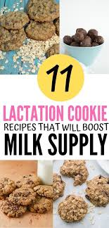11 Recipes For Milk Boosting Lactation Cookies Lactation Cookies Lactation Cookies Easy Lactation Recipes