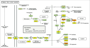 For example, a white or pearl ribbon is used to represent lung cancer, but turquoise is the color of an american lung association initiative. Mirna Target Genes Small Cell Lung Cancer Kegg Pathway Yellow Color Download Scientific Diagram