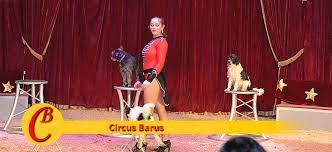 Circus barus am parkplatz des badesees kunststücke und feuershow. Circus Barus Familie Marco Frank