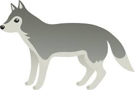 Gray Wolf Cartoon Wolf Grey Wolf Cartoons Png