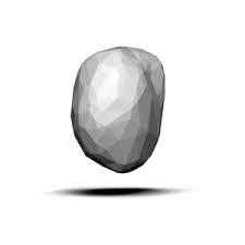 Image result for Pisiform Bone