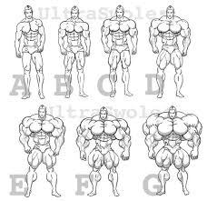 Body Size Chart Body Sketches Drawing Poses Mens Body Types