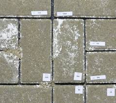 Your cinder block wall probably isn't your favorite architectural element, but it doesn't have to remain an eyesore. Reliable Assessment Of Resistance Of Concrete Paving Blocks To Freeze Thaw With De Icing Salt Concrete Plant Precast Technology