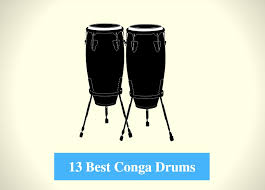 Claps congos cymbals hi hats kicks rides rimshots shakers simmons kit snares gated snares tambourine toms weird sounds. 13 Best Conga Drum Reviews 2021 Best Conga Drum Brands Cmuse