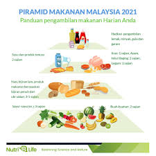 Pemakanan, piramid makanan, kepentingan pemakanan seimbang. Facebook