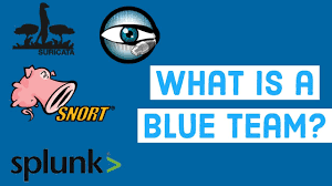 Image result for blue team
