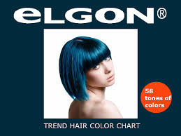 Elgon Professional Hair Color Chart Instructions