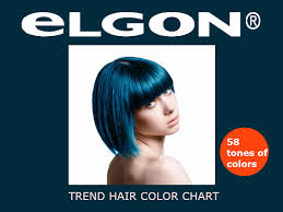 elgon professional hair color chart instructions