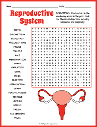 Human Reproductive System Word Search Worksheet By Puzzles To Print Word Puzzles For Kids Reproductive System Kids Word Search