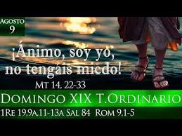 Evangelio De Hoy Domingo 9 De Agosto Xix Domingo Del Tiempo Ordinario P Guillermo Serra L C Youtube Evangelio De Hoy 9 De Agosto Evangelio