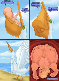 Rule 34 Dev - 2025 ai ai_assisted ai_generated anime anime_girl anime_style  artist_name bags_under_eyes beach bikini bikini_aside bikini_bottom  bikini_top black_bikini breasts bulge bulge_through_clothing caption choker  earrings elf elf_ears erect ...