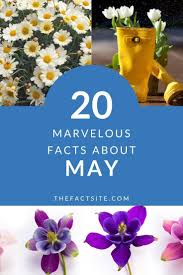 Oct 10, 2021 · the month of may trivia quiz quiz # 74,527. 20 Marvelous Facts About May The Fact Site