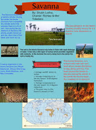 Savanna Biome Publish With Glogster Savanna Biome Biomes Biomes Project