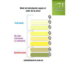 Cuidate De La Deshidratacion Color De La Orina Hidratacion Orina