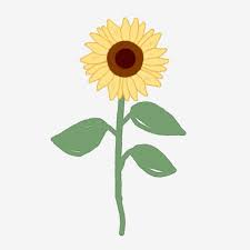 Free Free 108 Transparent Background Stem Sunflower Clipart SVG PNG EPS DXF File