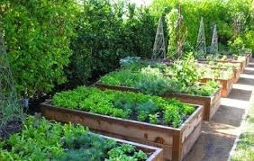 Vegetable Garden Potager Hone Ideas Amenagement De Jardin Potager Jardin Sureleve Amenagement Jardin