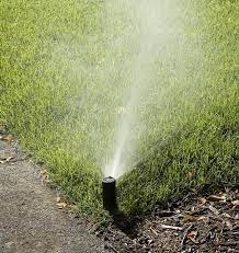 You may think that watering your lawn should be a simple and regular endeavor, but you would be how to tell when it's time to water your lawn. 5 Common Myths About Lawn Watering How To Do It Right