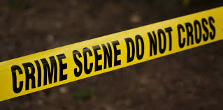 Csi Training Forensic Science Certification Nu Edu