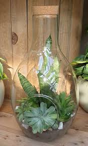 There are a variety of shapes and sizes you can make, and they're easy to plant a dry terrarium with cacti or succulents, simply layer up different coloured sand, and plant straight into it. Making Your Own Terrarium Cowell S Garden Centre Woolsington