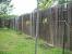 Backyard Grape Arbor