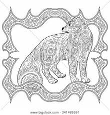 Push pack to pdf button and download pdf coloring book for free. High Detailed Vector Photo Free Trial Bigstock