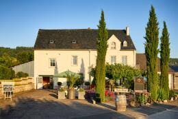 Weingut Rudolf Hoffmann: Alle Weine zu ab Hof Preisen bestellen