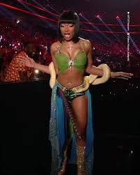 Image result for britney spears python