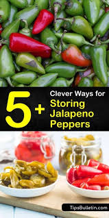 5 Clever Ways For Storing Jalapeno Peppers In 2020 Stuffed Peppers Stuffed Jalapeno Peppers Stuffed Hot Peppers