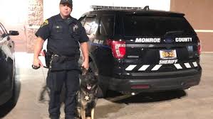 Five K9 Units With Monroe Co Sheriff S Office Now Have Protective Vests Whamcw