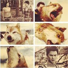 All You Need To Know About The Twilight Saga Characters - Seth Clearwater -  Wattpad