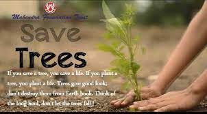Save Trees Save Life If You Save A Tree You Save A Life If You Plant A Tree You Plant A Life Trees Give Good Look Don Save Trees Earth Book