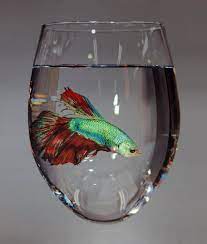 Maybe you would like to learn more about one of these? Betta By Young Sung Kim On Canvas 115x115cm 2017 Art