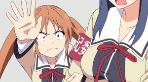 画像】『アホガール』風紀委員長可愛いすぎワロタwwwwwwwwww - 429 - エロ画像 - エロ画像