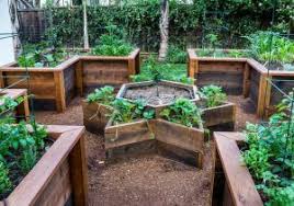 пластиковых бутылок поделки для сада своими руками из подручных материалов с описанием Sadovye Figury Svoimi Rukami Master Klass 125 Foto Landshaftnyj Dizajn Zadnego Dvora Dizajn Ovoshnogo Ogoroda I Vozvyshennye Ogorody